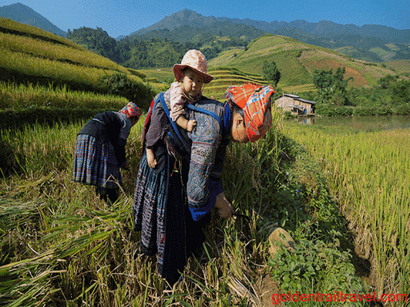 Ha Giang Loop Hiking 5 Days